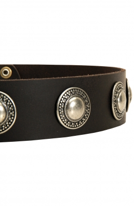 Amstaff Collar with Vintage Nickel Conchos