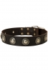 Shar Pei Leather Dog Collar with One Row Vintage Conchos
