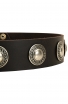Shar Pei Leather Dog Collar with One Row Vintage Conchos