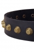 Fashion English Bull Terrier Leather Dog Collar with Old Brass Pyramids