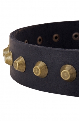 Fashion Boxer Leather Dog Collar with Old Brass Pyramids