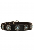 German Shepherd Collar with Silver Plated Circles and Blue Stones