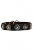 Doberman Collar with Silver Plated Circles and Blue Stones