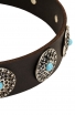 Stylish Wide Leather Collar with Blue Stones for Rottweiler 