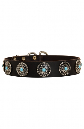 Elegant Leather Pitbull Collar with Silver Plated Circles and Blue Stones