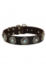 Elegant Leather Pitbull Collar with Silver Plated Circles and Blue Stones