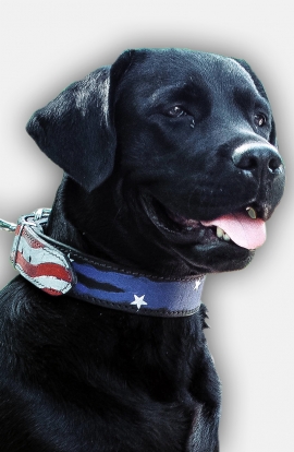 Labrador Handpainted Leather Collar - American Pride