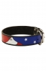 Rottweiler Handpainted Leather Collar - American Pride