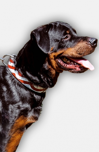 Rottweiler Handpainted Leather Collar - American Pride