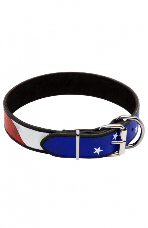 Order Now Pitbull Handpainted Leather Dog Collar with American Pride