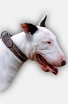 Unique English Bull Terrier Collar with Barbed Wire Painting