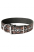 Boxer Collar with Barbed Wire Painting