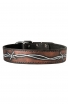 Doberman Collar with Barbed Wire Painting