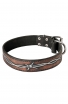 Doberman Collar with Barbed Wire Painting