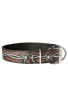 Bullmastiff Collar with Barbed Wire Painting