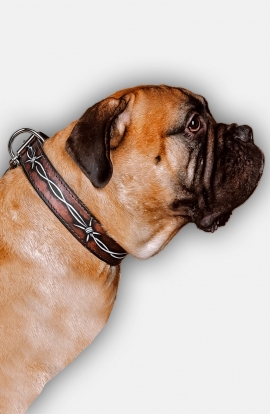 Bullmastiff Collar with Barbed Wire Painting