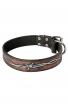 Pitbull Collar with Barbed Wire Painting