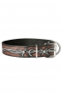 Pitbull Collar with Barbed Wire Painting