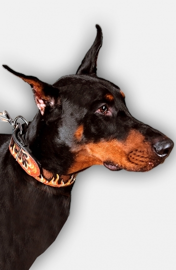 Hand Painted Leather Doberman Collar with Red Flame