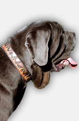 Hand Painted Leather Mastiff Collar with Red Flame