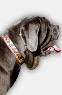 Hand Painted Leather Mastiff  Collar with Red Flame
