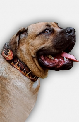 Hand Painted Leather Cane Corso Collar with Red Flame