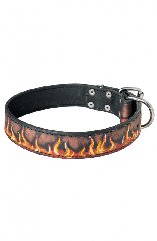 Painted leather dog collar top