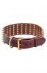 3 inch Extra Wide Leather English Bull Terrier Collar with Gold-like Spikes