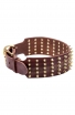 3 inch Extra Wide Leather English Bull Terrier Collar with Gold-like Spikes