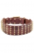 3 inch Extra Wide Leather English Bull Terrier Collar with Gold-like Spikes