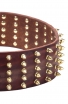 3 inch Extra Wide Leather English Bull Terrier Collar with Gold-like Spikes