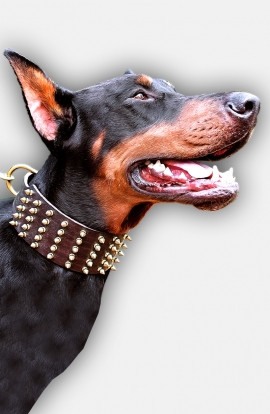 3 inch Extra Wide Leather Doberman Collar with Brass Spikes