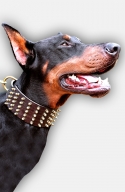 3 inch Extra Wide Leather Doberman Collar with Hand-Set Brass Spikes