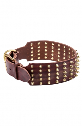 3 inch Extra Wide Leather Mastiff Collar with Gold Spikes
