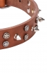 3 Rows Leather Dog Collar "Silver Star" with Nickel Spikes