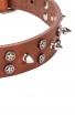 3 Rows Leather Dog Collar "Silver Star" with Nickel Spikes