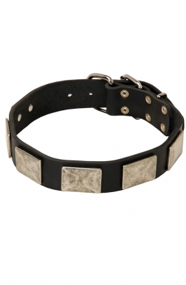 Doberman Leather Dog Collar with Vintage Nickel Plates