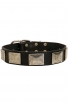 Rottweiler Leather Dog Collar Decorated with Antiqued Nickel Plates