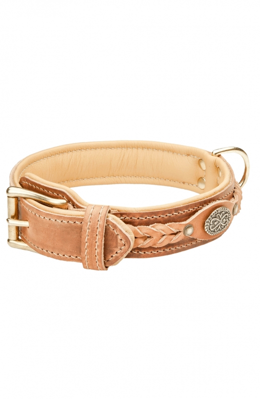 Source Luxury designer pet puppy brown vegetable tanned tan leather dog  collar staffy with belt buckle on m.