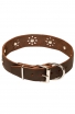 Fancy Dog Collar with Nickel Decoration for Walking in Style