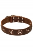 Fancy Dog Collar with Nickel Decoration for Walking in Style