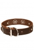 Fancy Dog Collar with Nickel Decoration for Walking in Style