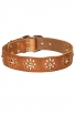 Fancy Dog Collar with Nickel Decoration for Walking in Style