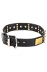 Leather Bull Terrier Collar with Spikes and Old Brass Massive Plates