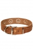 Fancy Dog Collar with Nickel Decoration for Walking in Style