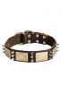 Leather Bull Terrier Collar with Spikes and Old Brass Massive Plates