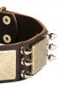 Leather Bull Terrier Collar with Spikes and Old Brass Massive Plates