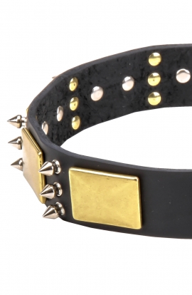 Leather Boxer Collar with Spikes and Old Brass Massive Plates