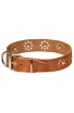 Fancy Dog Collar with Nickel Decoration for Walking in Style