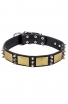 Amstaff Collar with Silver-like Spikes and Old Brass Massive Plates